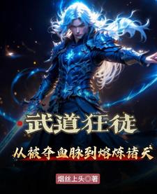 熔炉镇九霄武道狂徒踏碎修仙路