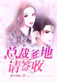 一胎三宝总裁爹地请签收